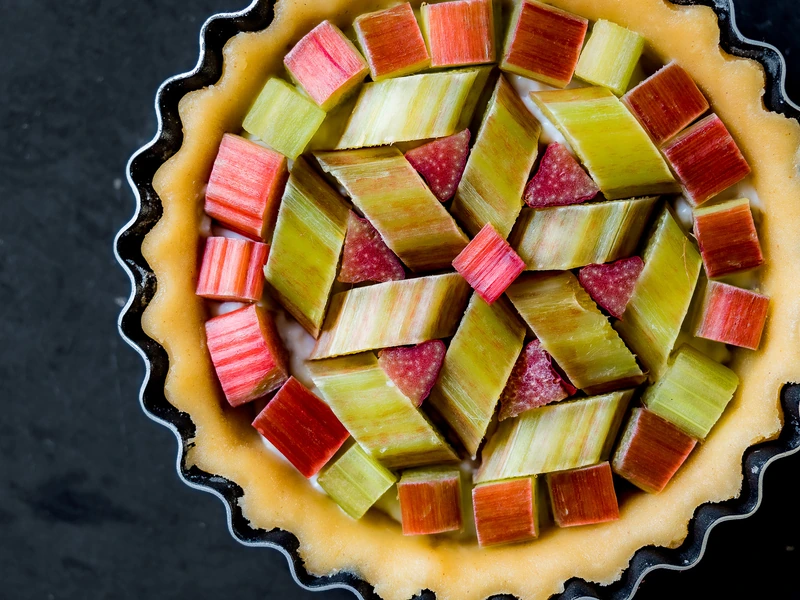 Tartelette graphique à la rhubarbe photographiée du dessus, sur fond sombre