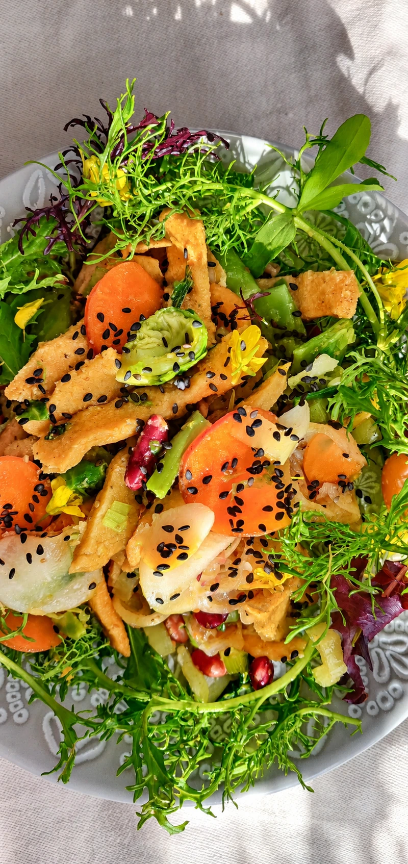 Salade colorée photographiée dans une lumière naturelle