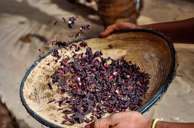 Tri des fleurs de bissap dans un grand panier lors d’un reportage culinaire à Bamako au Mali