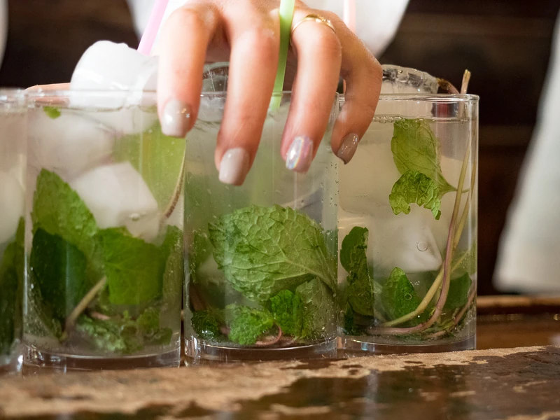 Main, feuilles de menthe et glace dans un bar de La Havane à Cuba