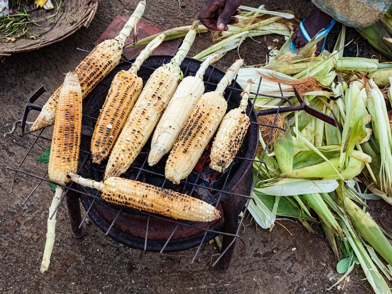 Épis posés dans un quartier populaire de Kigali au Rwanda